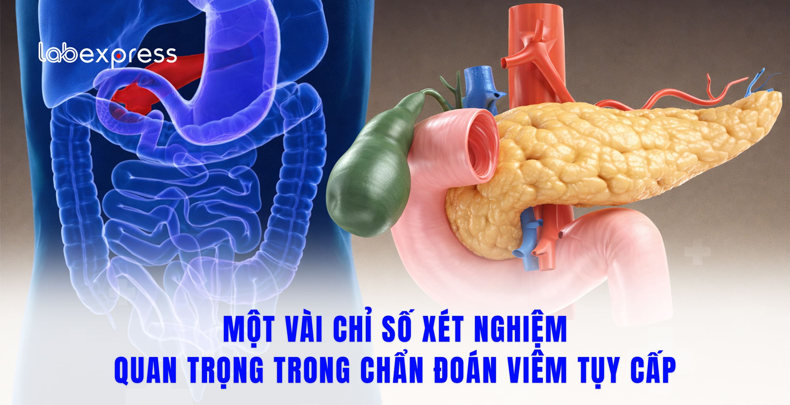 MỘT VÀI CHỈ SỐ XÉT NGHIỆM QUAN TRỌNG TRONG CHẨN ĐOÁN VIÊM TUỴ CẤP