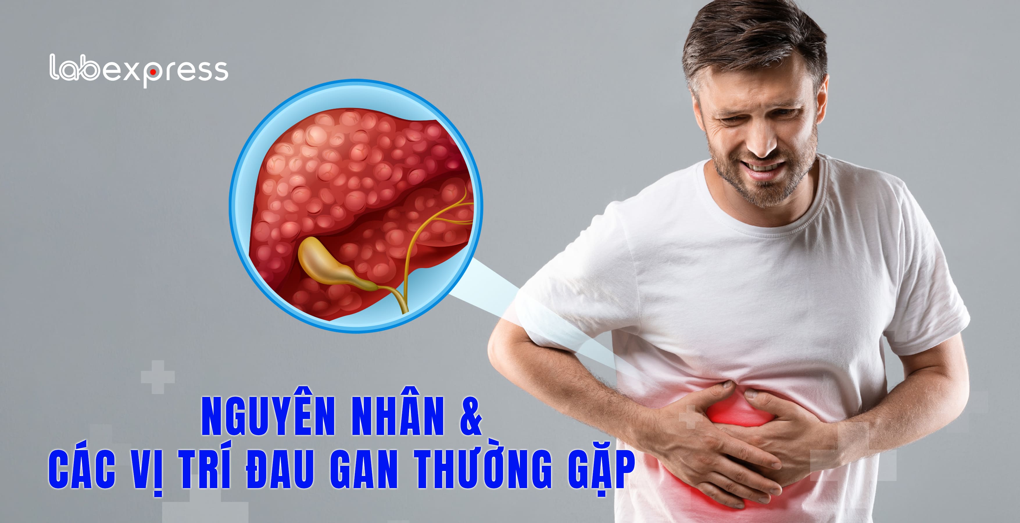NGUYÊN NHÂN VÀ CÁC VỊ TRÍ ĐAU GAN THƯỜNG GẶP