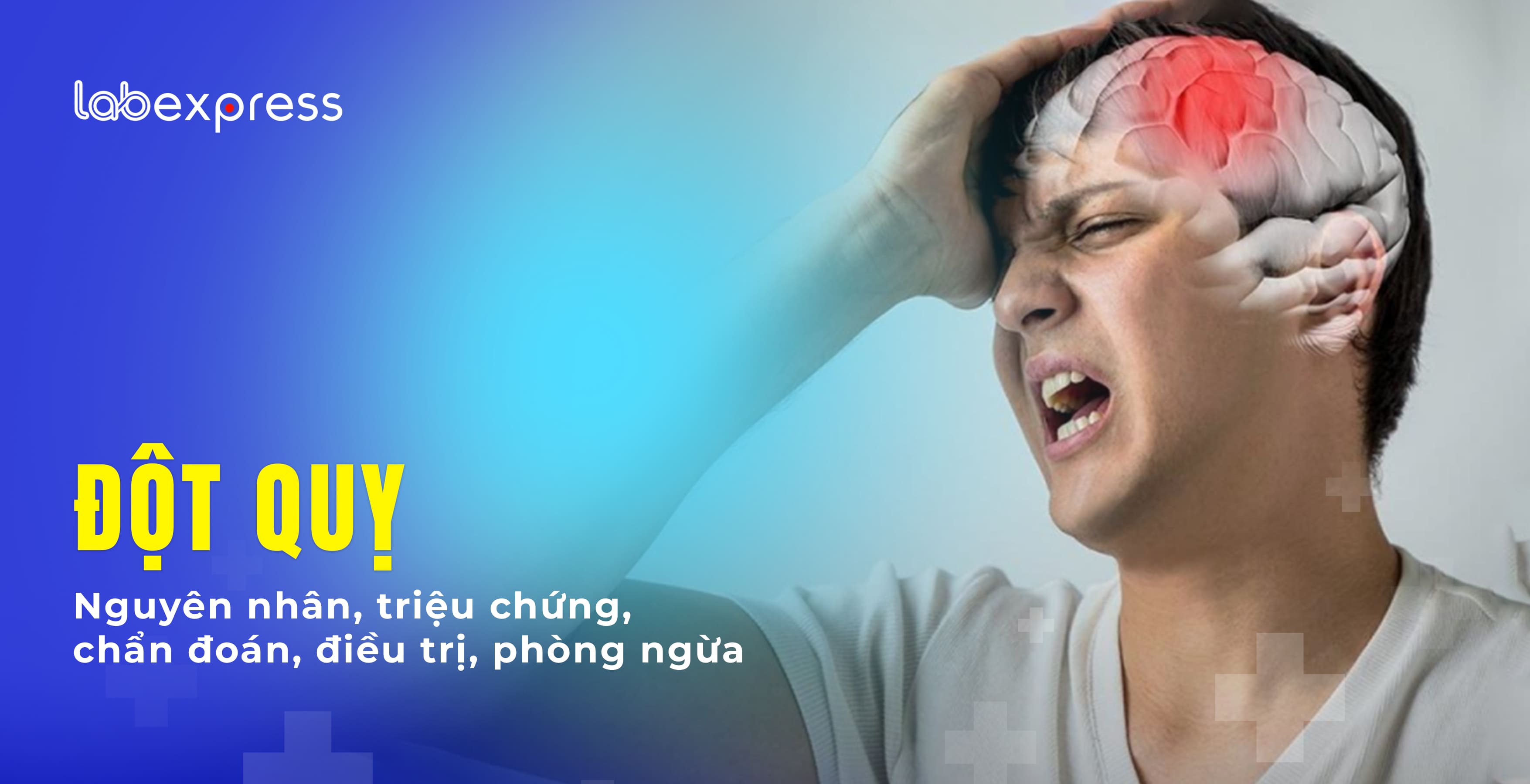 ĐỘT QUỴ: NGUYÊN NHÂN, DẤU HIỆU NHẬN BIẾT, CÁCH PHÒNG TRÁNH