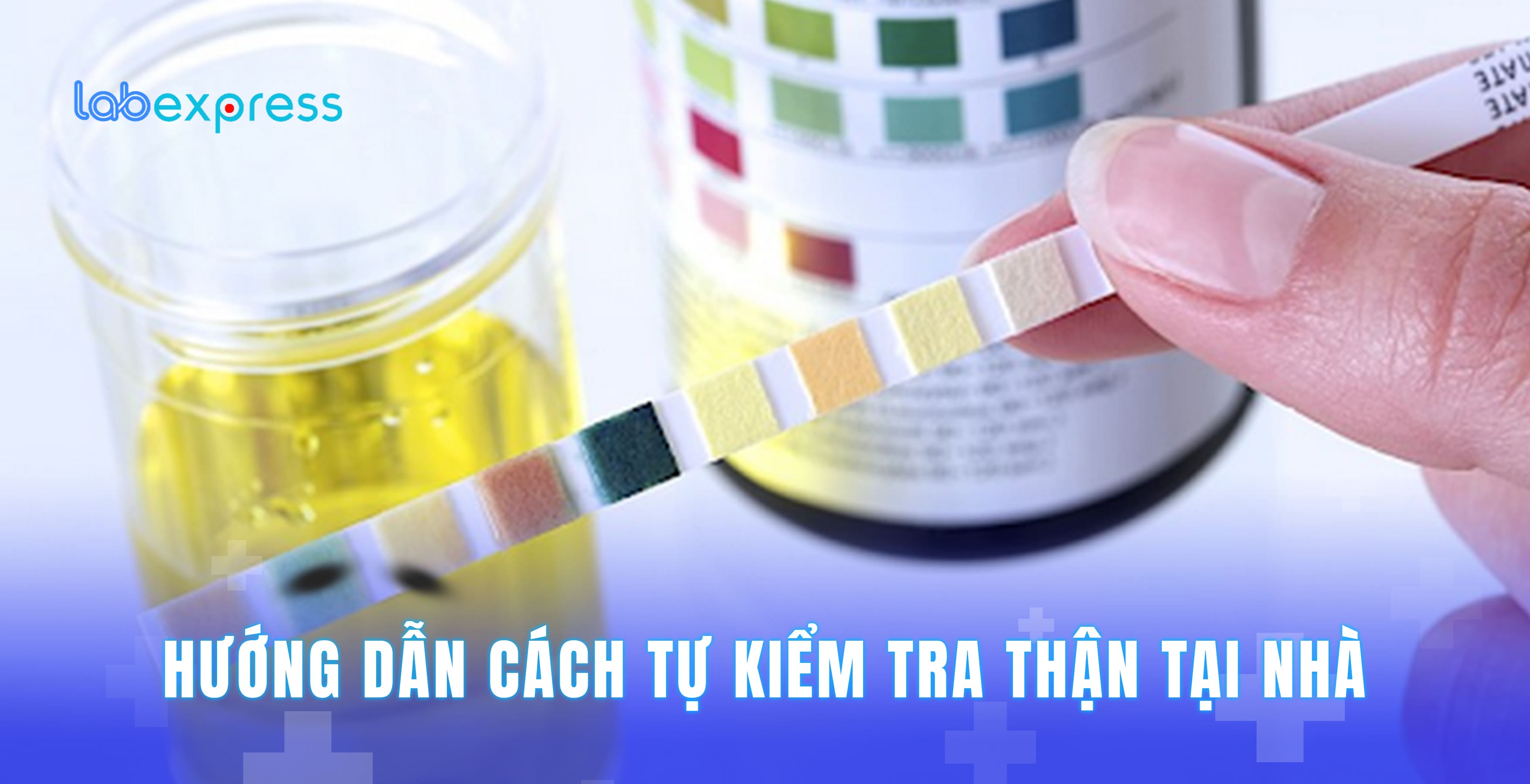 HƯỚNG DẪN CÁCH TỰ KIỂM TRA THẬN TẠI NHÀ