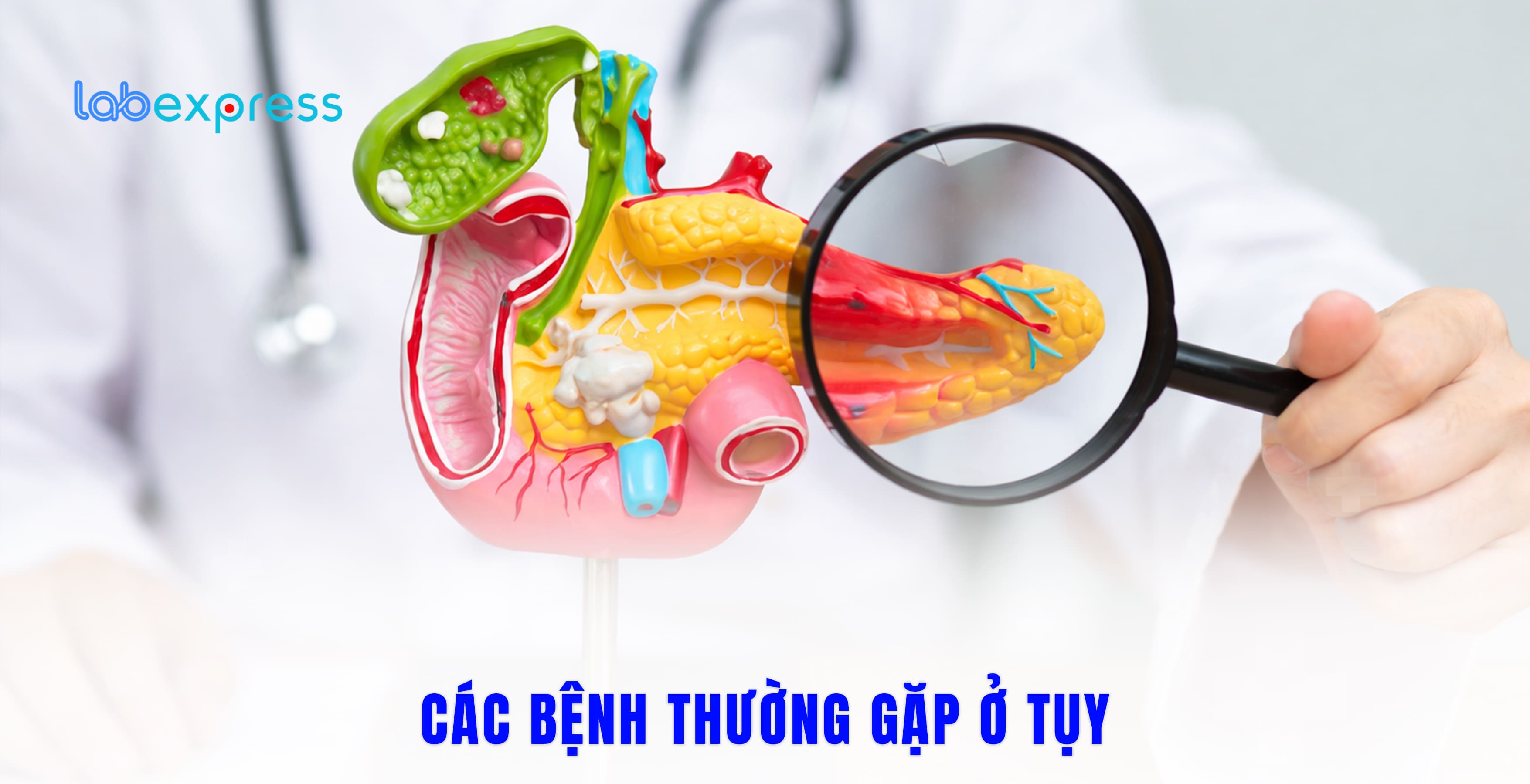 CÁC BỆNH THƯỜNG GẶP Ở TUỴ