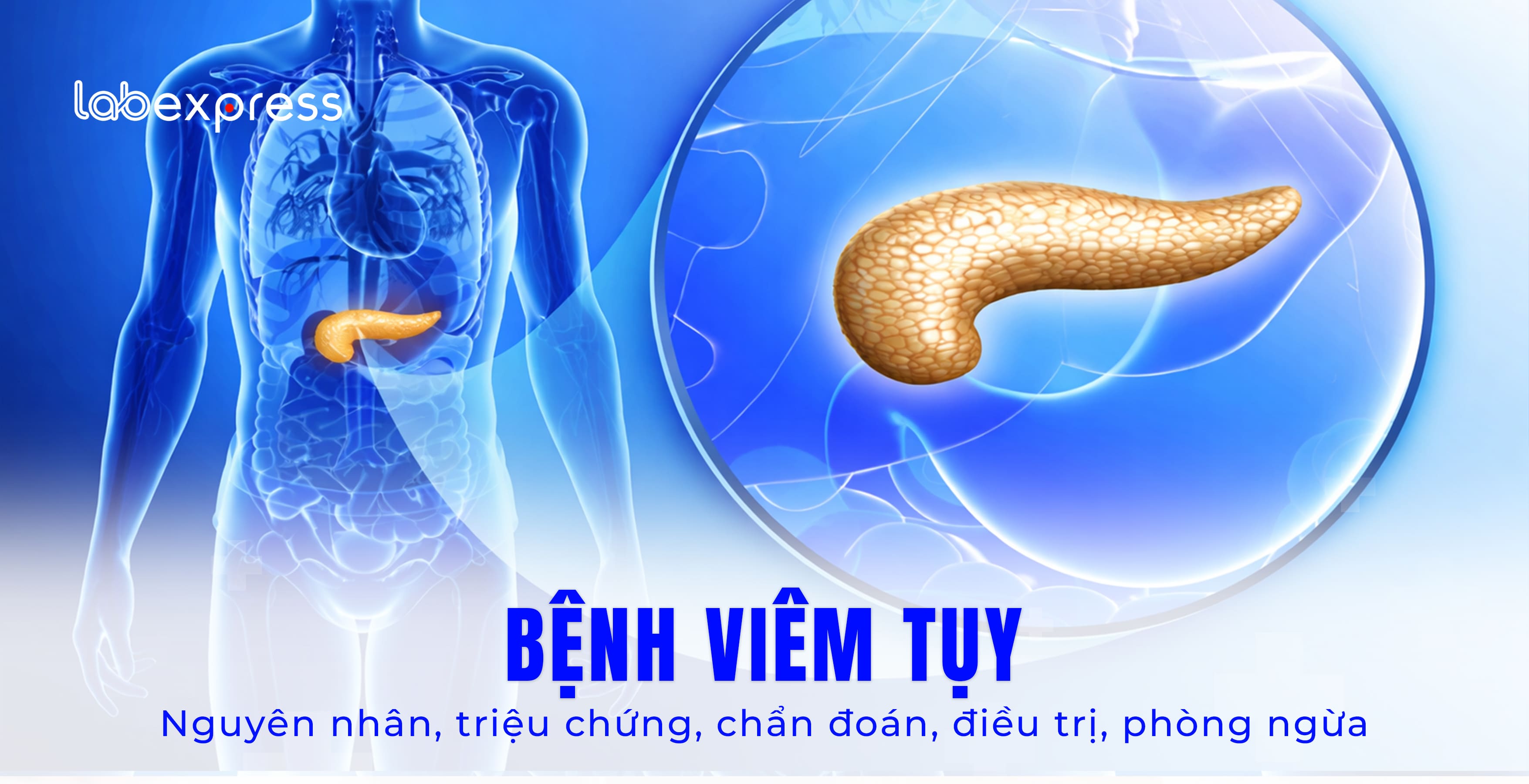 BỆNH VIÊM TUỴ: NGUYÊN NHÂN, TRIỆU CHỨNG, CHẨN ĐOÁN, ĐIỀU TRỊ, PHÒNG NGỪA