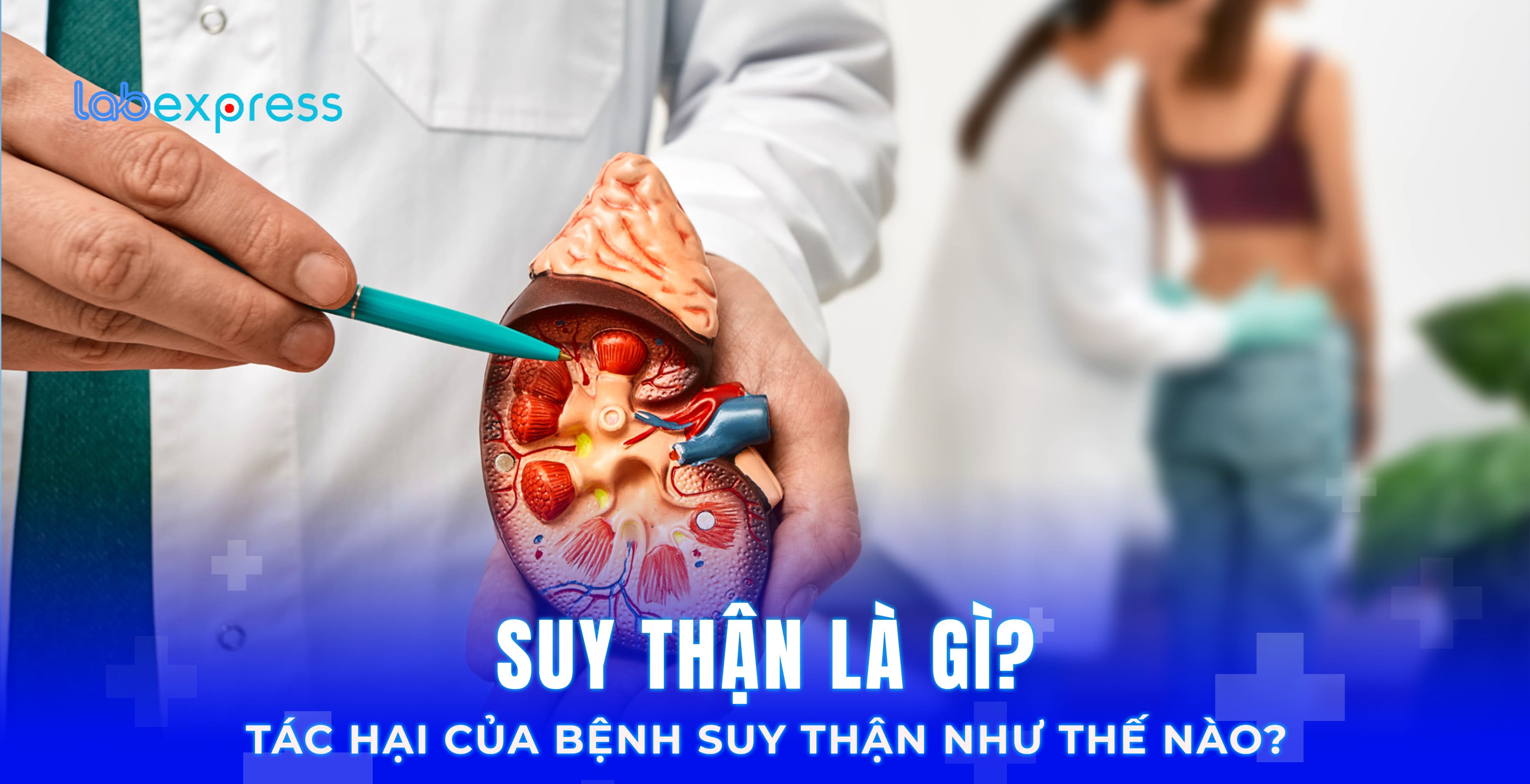 SUY THẬN LÀ GÌ? TÁC HẠI CỦA BỆNH SUY THẬN NHƯ THẾ NÀO?
